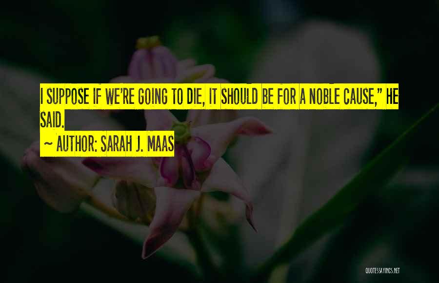 Sarah J. Maas Quotes 958460