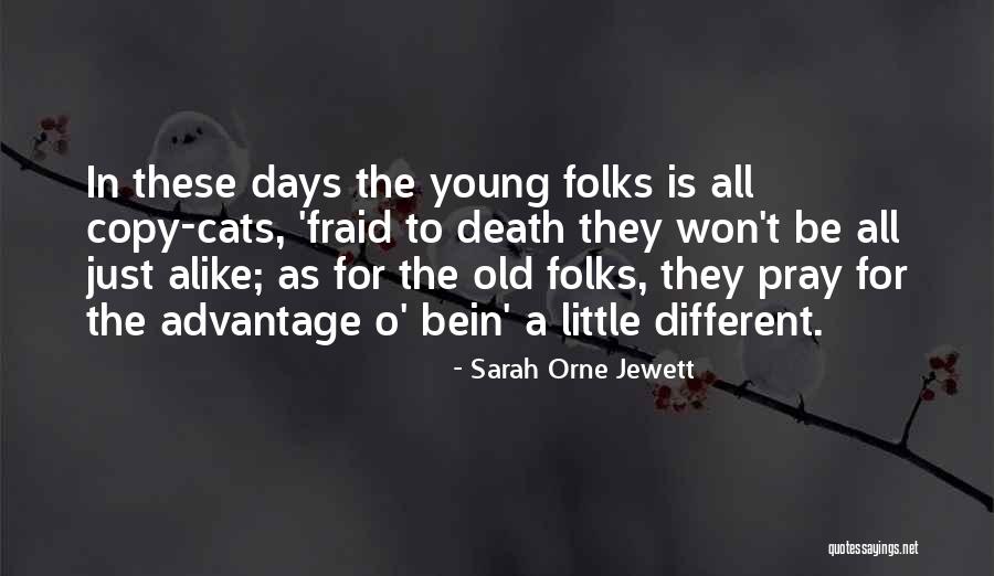 Sarah Jewett Quotes By Sarah Orne Jewett