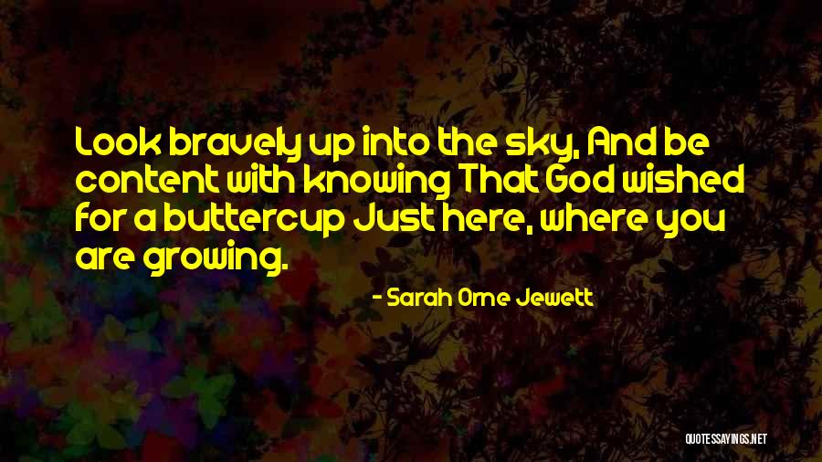 Sarah Jewett Quotes By Sarah Orne Jewett