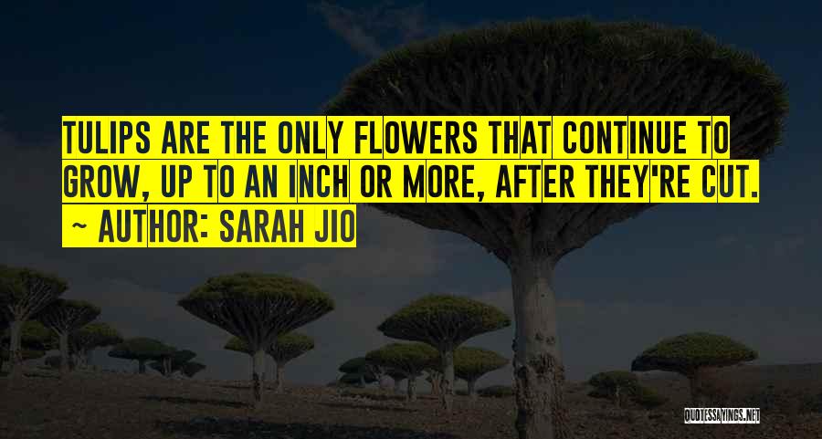 Sarah Jio Quotes 2120306