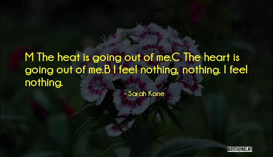 Sarah Kane Quotes 1028708