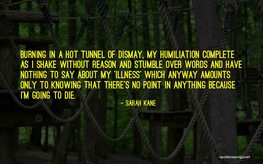 Sarah Kane Quotes 2106134 Sarah Kane Quotes 2106134