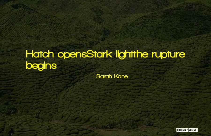 Sarah Kane Quotes 572748 Sarah Kane Quotes 572748