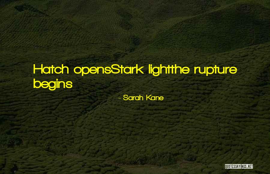 Sarah Kane Quotes 572748