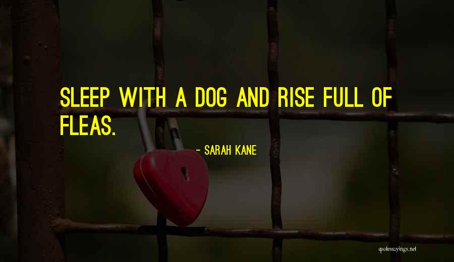 Sarah Kane Quotes 984070