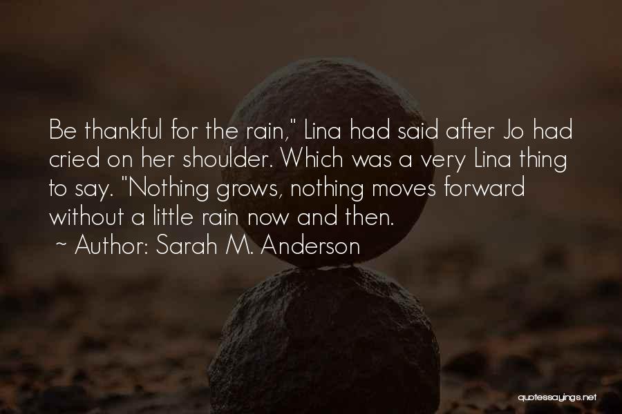 Sarah M. Anderson Quotes 1912271