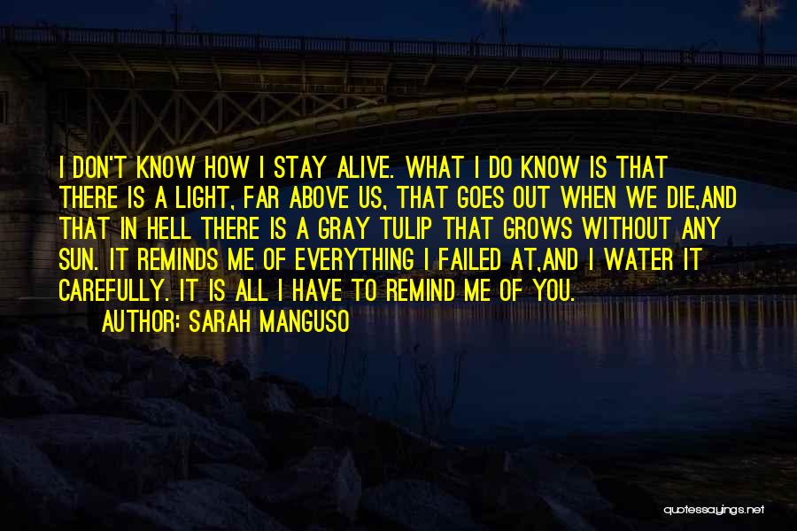 Sarah Manguso Quotes 841278