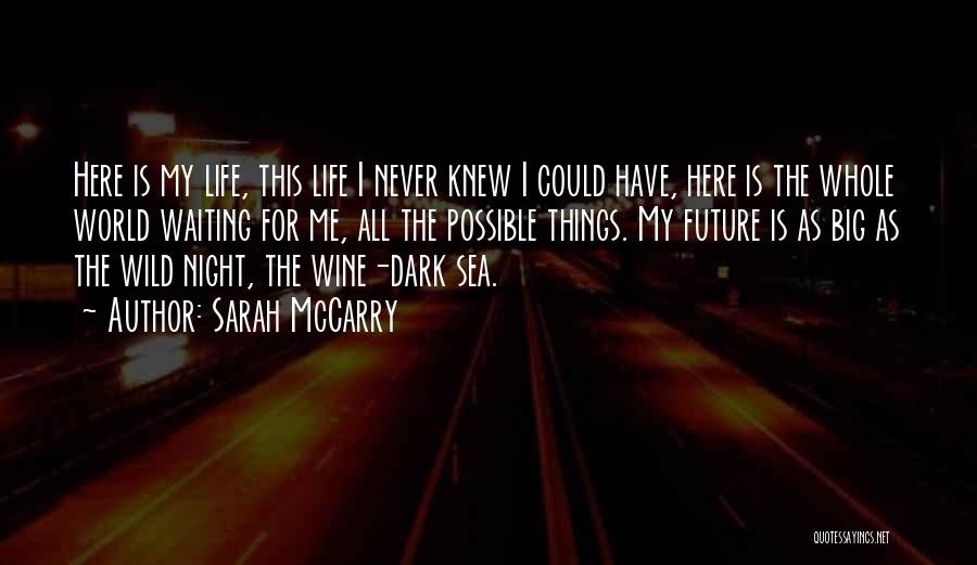 Sarah McCarry Quotes 1178959