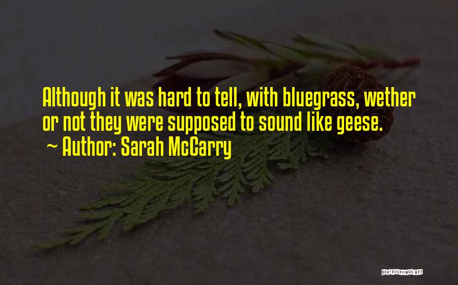 Sarah McCarry Quotes 1209214