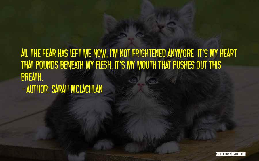 Sarah McLachlan Quotes 232738