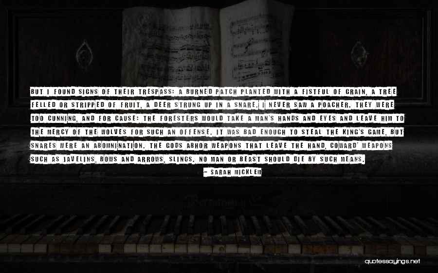 Sarah Micklem Quotes 213382 Sarah Micklem Quotes 213382