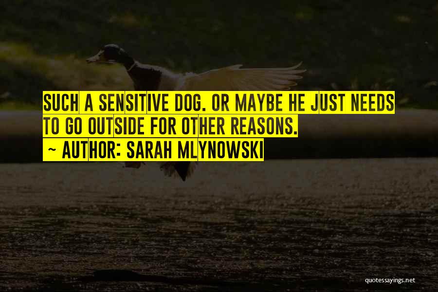 Sarah Mlynowski Quotes 1867104