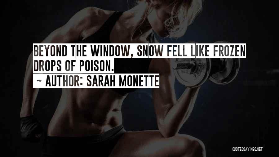 Sarah Monette Quotes 2252676