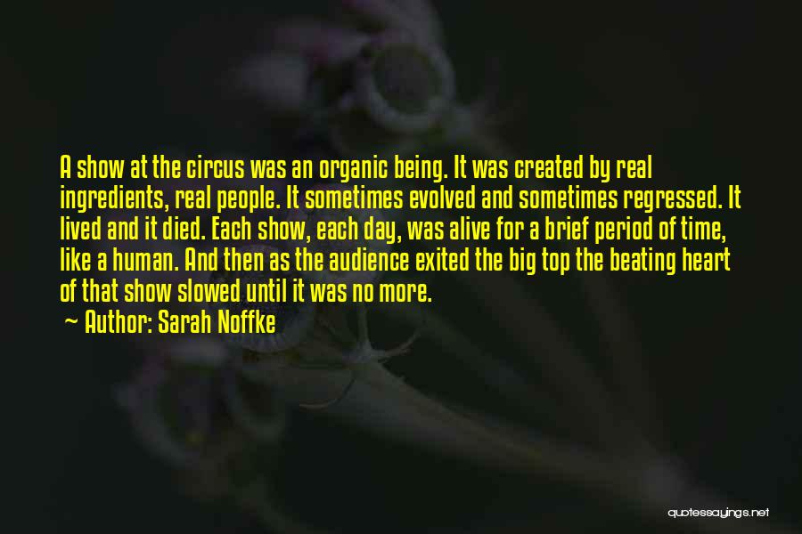 Sarah Noffke Quotes 1603266