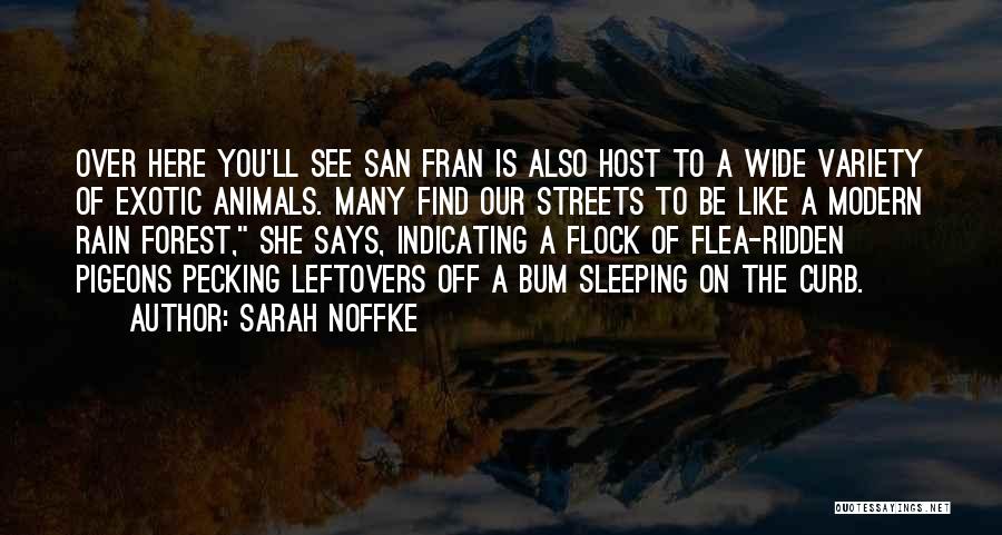 Sarah Noffke Quotes 574719