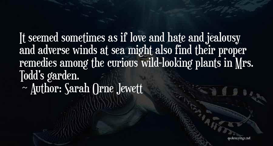 Sarah Orne Jewett Quotes 1487678