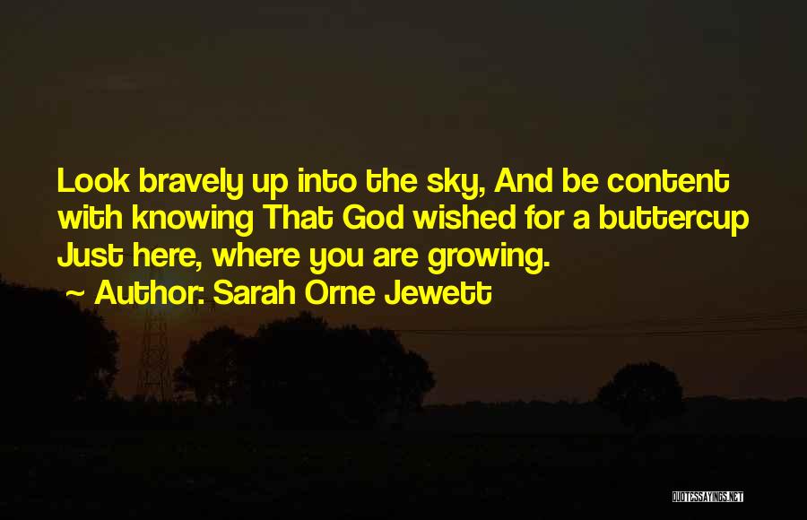 Sarah Orne Jewett Quotes 2007393