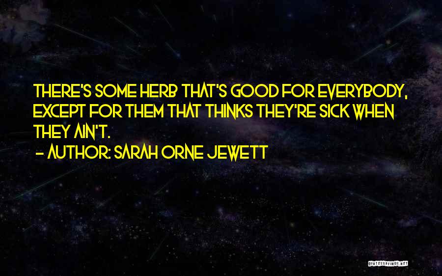 Sarah Orne Jewett Quotes 530753