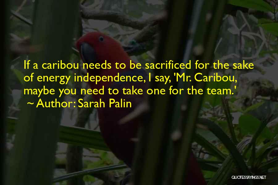 Sarah Palin Quotes 211543