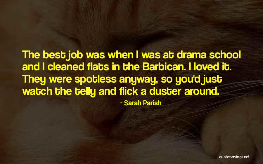 Sarah Parish Quotes 985865