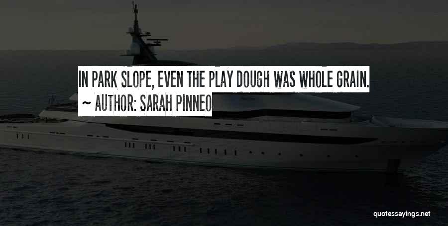 Sarah Pinneo Quotes 1613958