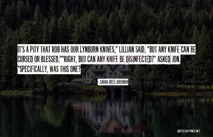 Sarah Rees Brennan Quotes 1452622 Sarah Rees Brennan Quotes 1452622