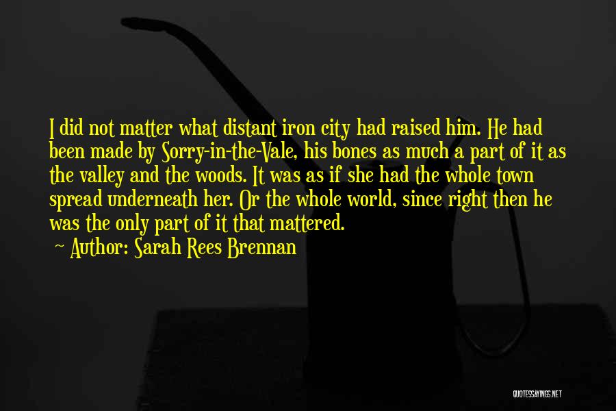 Sarah Rees Brennan Quotes 156669