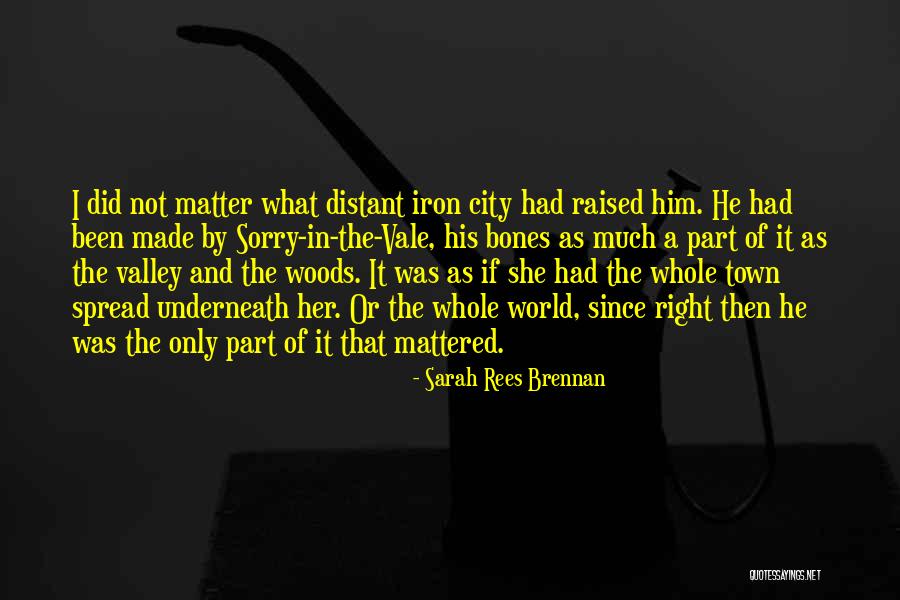 Sarah Rees Brennan Quotes 156669