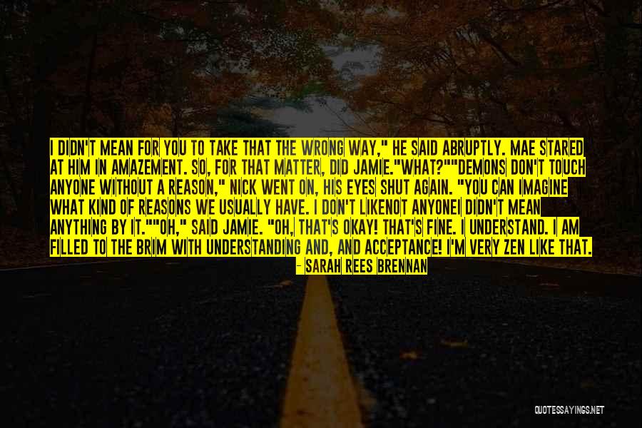 Sarah Rees Brennan Quotes 387323