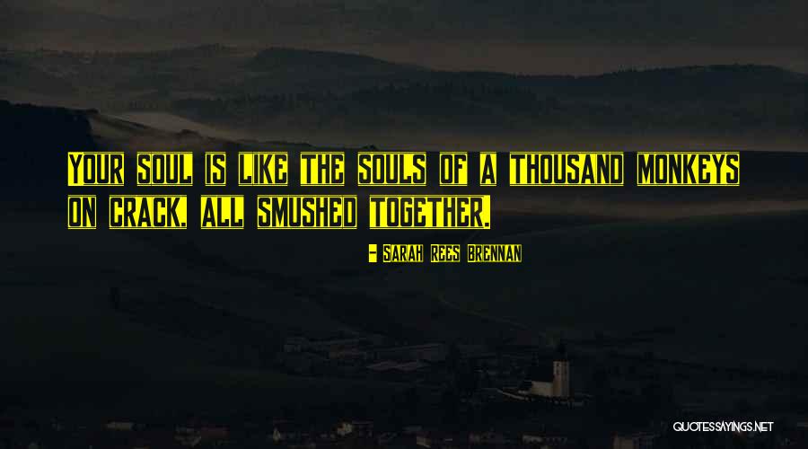 Sarah Rees Brennan Quotes 593751 Sarah Rees Brennan Quotes 593751