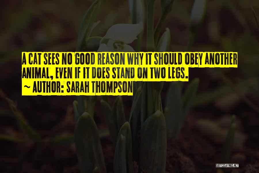 Sarah Thompson Quotes 2218249