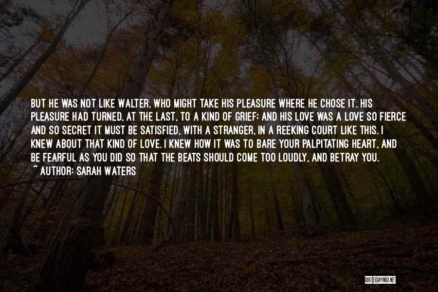 Sarah Waters Quotes 1613540