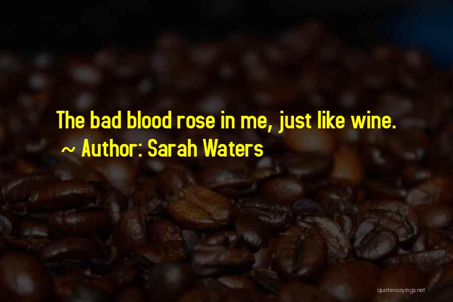 Sarah Waters Quotes 1827731