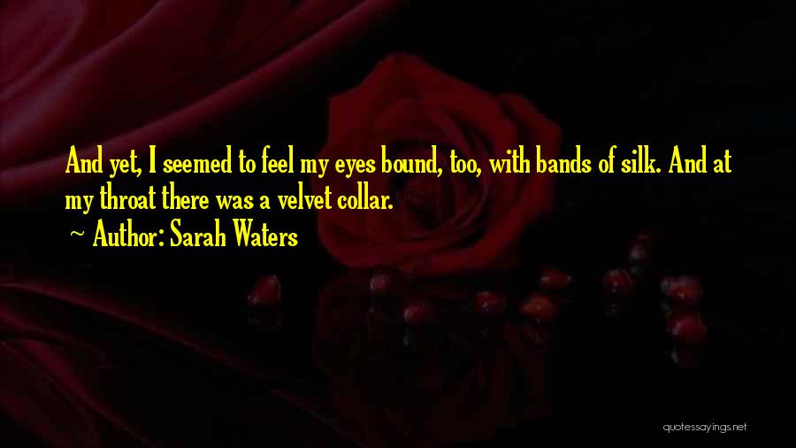 Sarah Waters Quotes 2266397