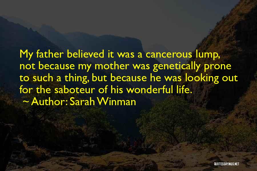 Sarah Winman Quotes 1099868