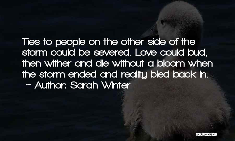 Sarah Winter Quotes 1846233