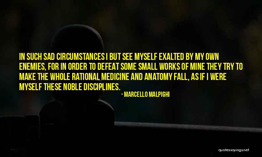 Sarangi Quotes By Marcello Malpighi Sarangi Quotes By Marcello Malpighi