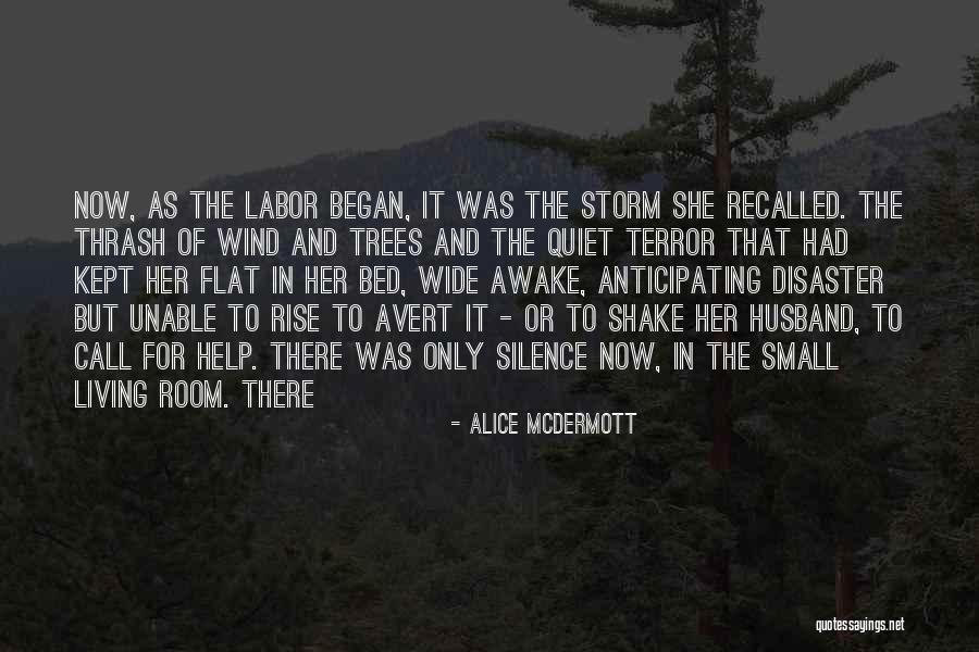 Sarante Yiyo Quotes By Alice McDermott Sarante Yiyo Quotes By Alice McDermott