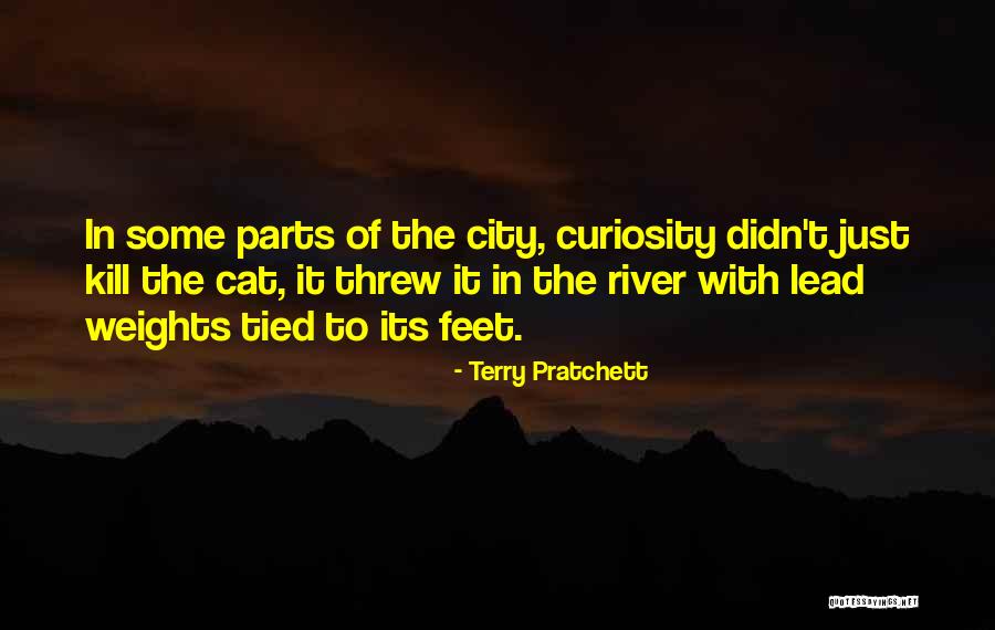 Sarante Yiyo Quotes By Terry Pratchett Sarante Yiyo Quotes By Terry Pratchett