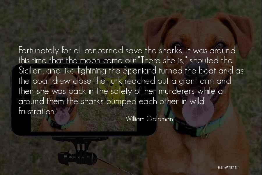 Saraphinos St Quotes By William Goldman Saraphinos St Quotes By William Goldman