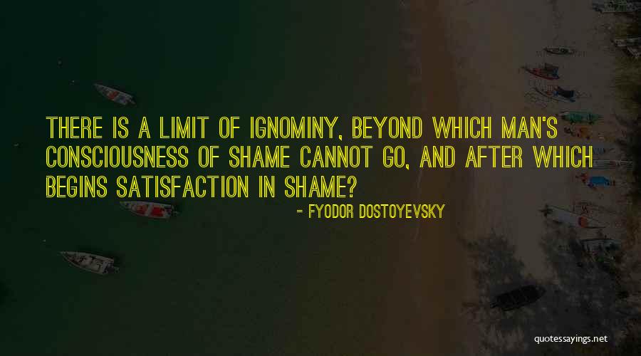 Sarcasam Quotes By Fyodor Dostoyevsky Sarcasam Quotes By Fyodor Dostoyevsky