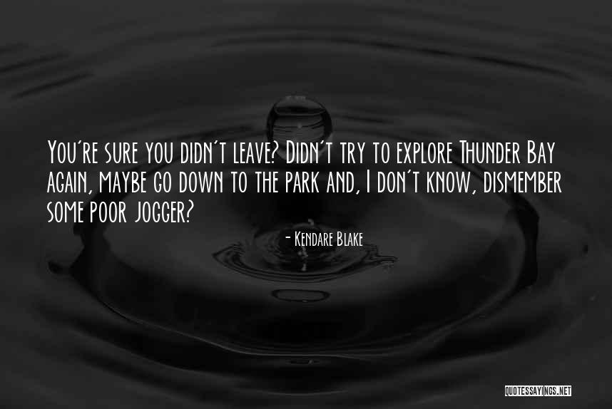 Sarcasm At Its Best Quotes By Kendare Blake Sarcasm At Its Best Quotes By Kendare Blake