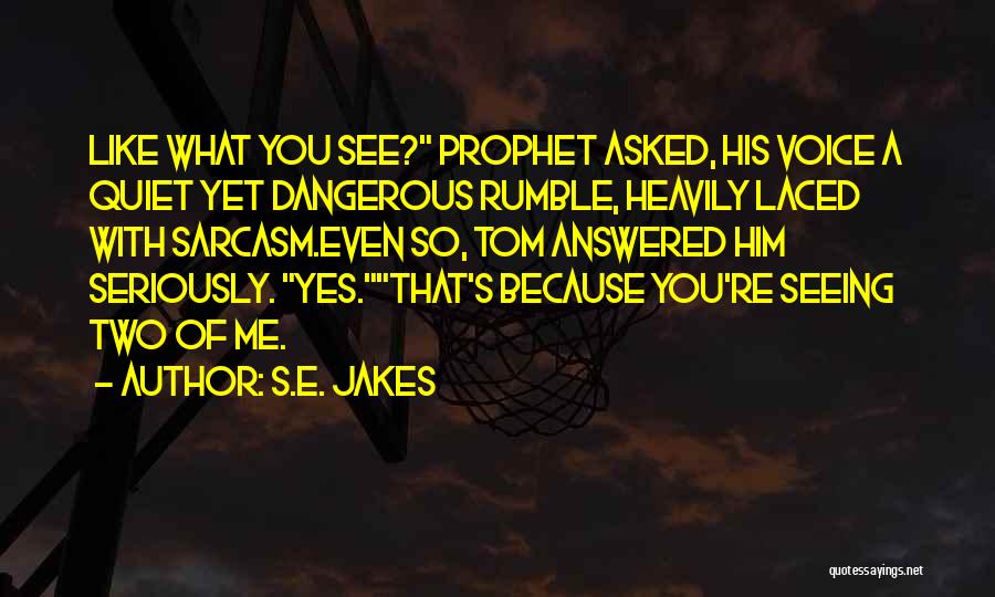 Sarcasm Quotes By S.E. Jakes