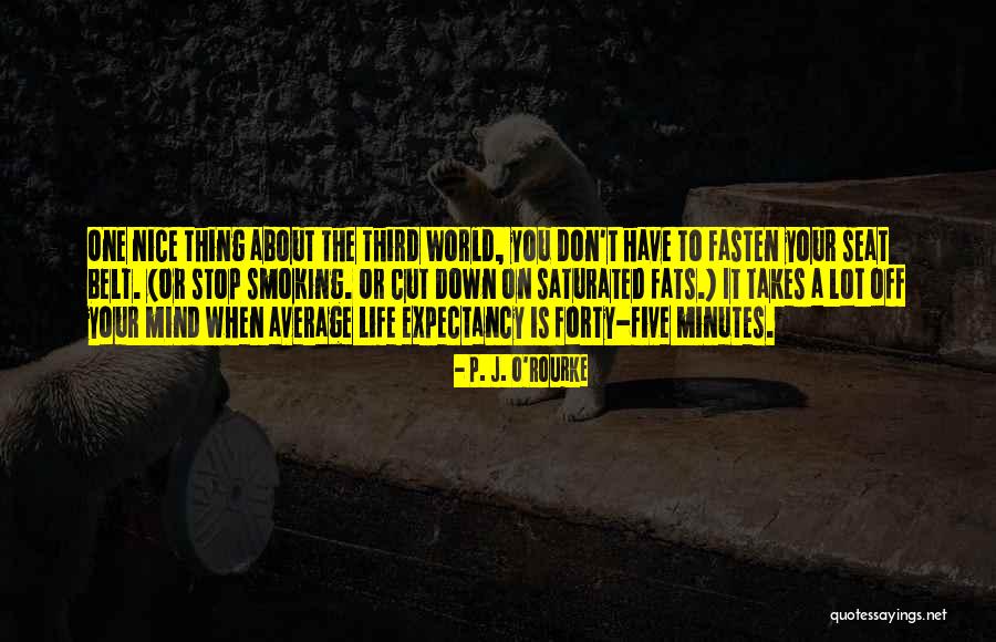 Sarcastic Drunks Quotes By P. J. O'Rourke Sarcastic Drunks Quotes By P. J. O'Rourke