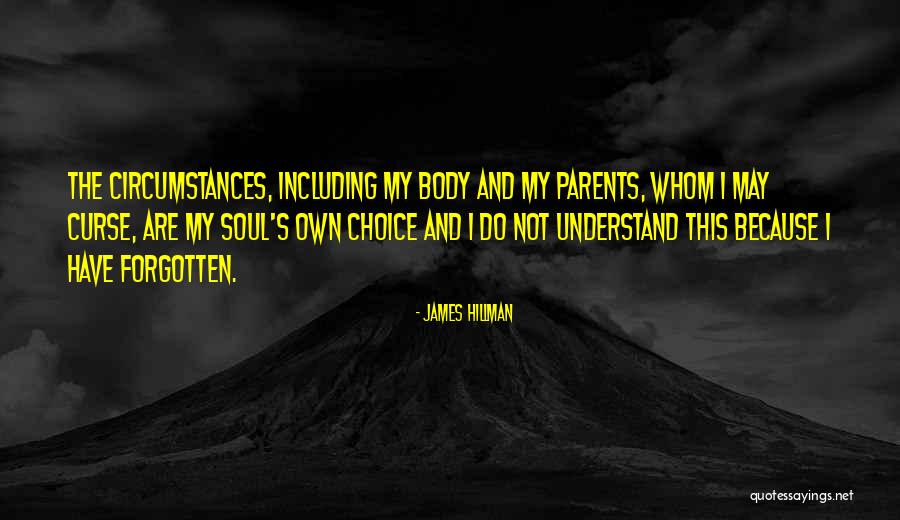 Sarcastic Homophobia Quotes By James Hillman Sarcastic Homophobia Quotes By James Hillman