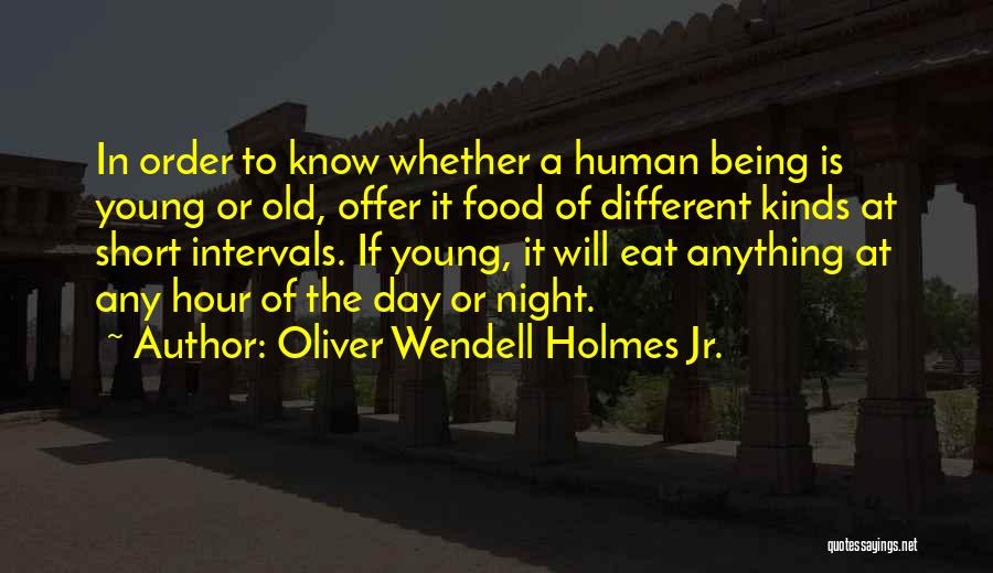 Sarcastic Know It All Quotes By Oliver Wendell Holmes Jr.