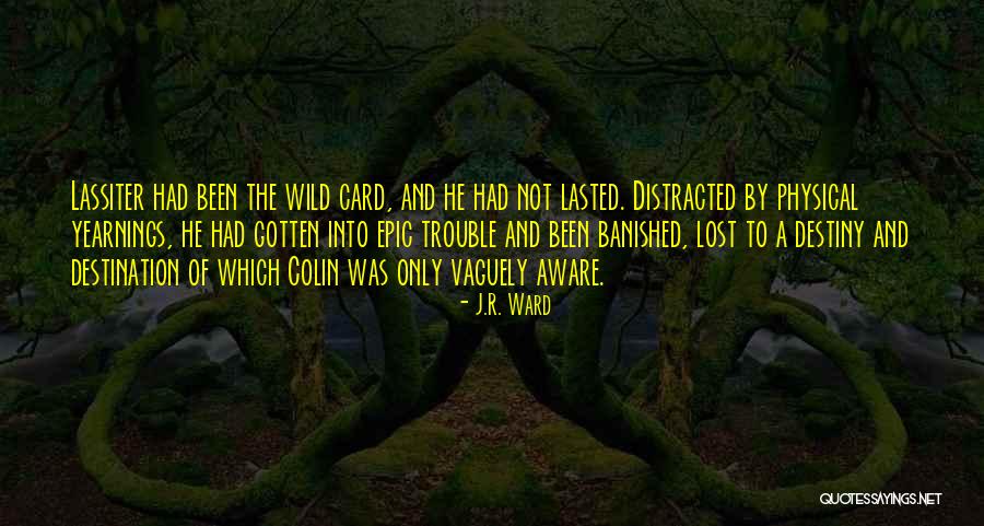 Sarcastic Metaphors Quotes By J.R. Ward