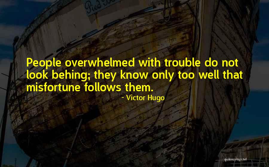 Sarcastic Metaphors Quotes By Victor Hugo