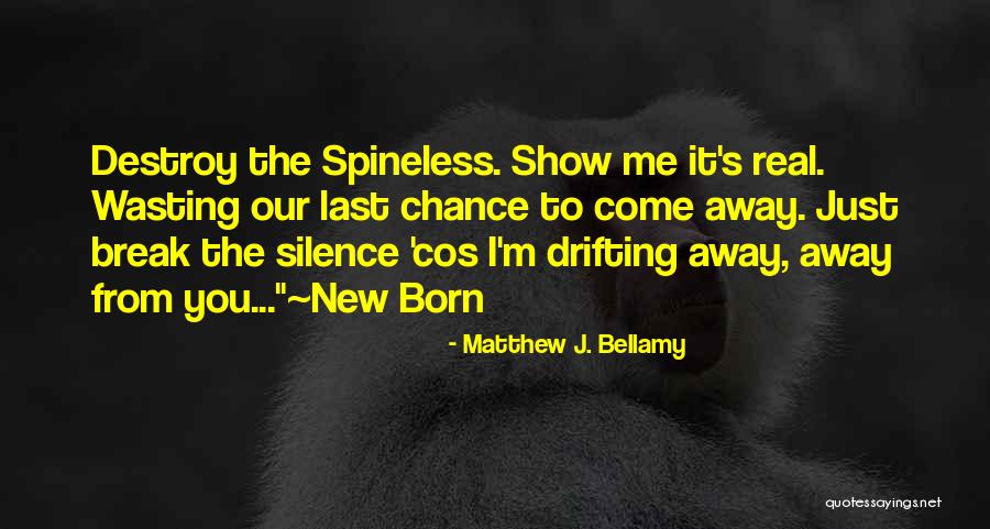 Sarcoma In Dogs Quotes By Matthew J. Bellamy Sarcoma In Dogs Quotes By Matthew J. Bellamy
