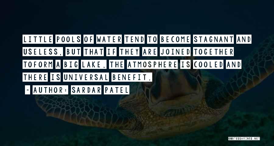 Sardar Quotes By Sardar Patel